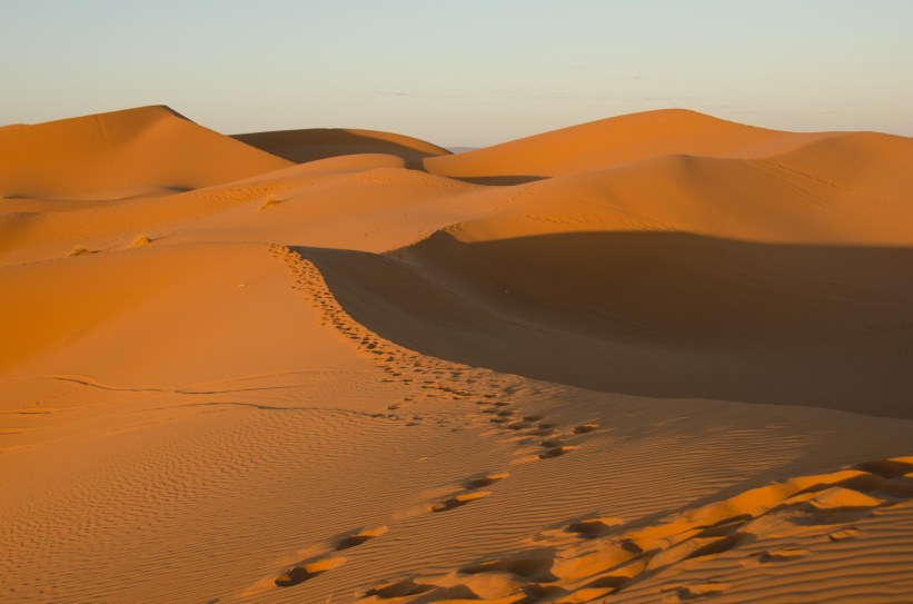 _DSC8083-2Sahara Sunrise