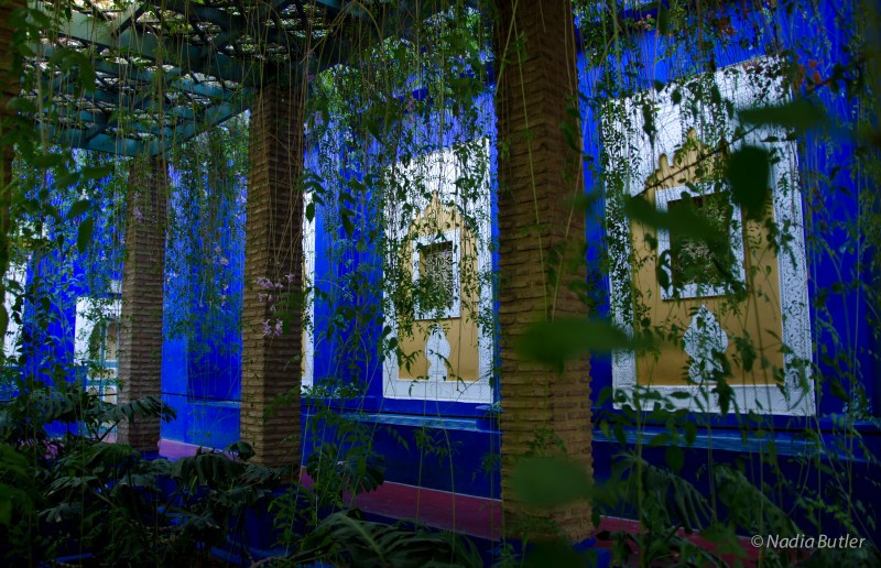 DSC_6657Jardin Majorelle Lane