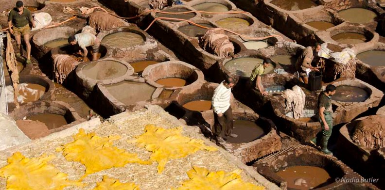 _DSC8420Morocco Dyers